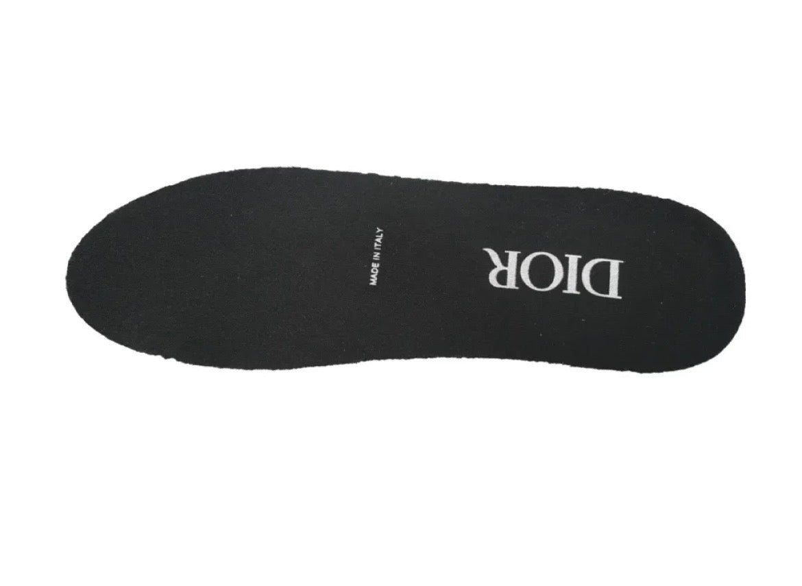 Dior B22 Reflective