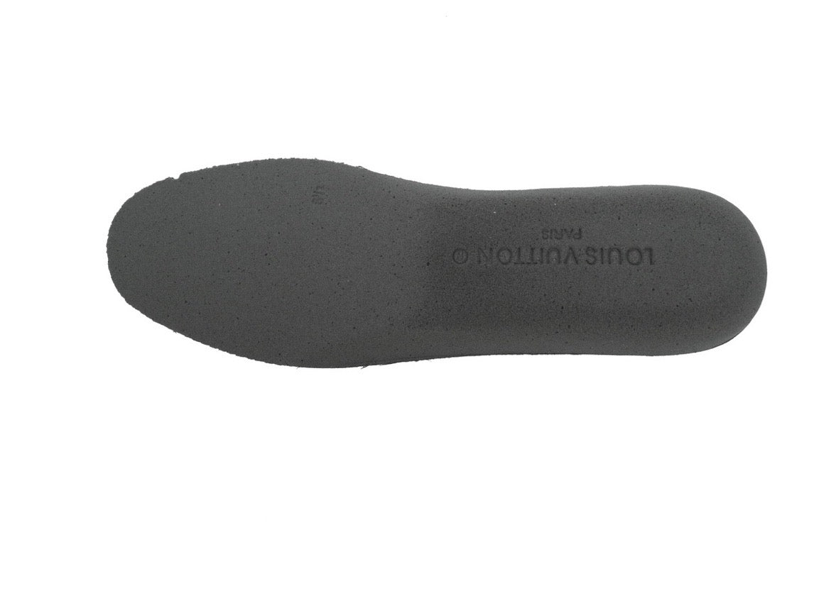 Lous Vuitton Skates