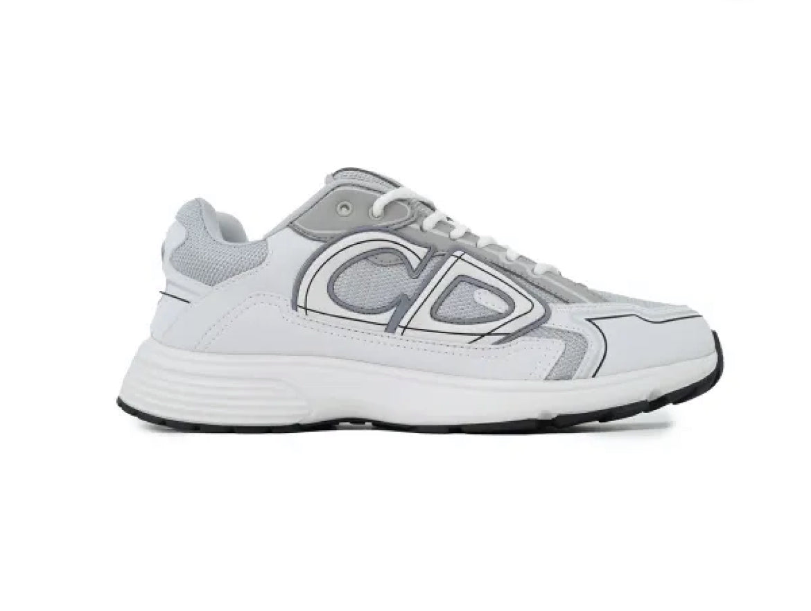 Dior B30 Countdown Sneaker Gray White