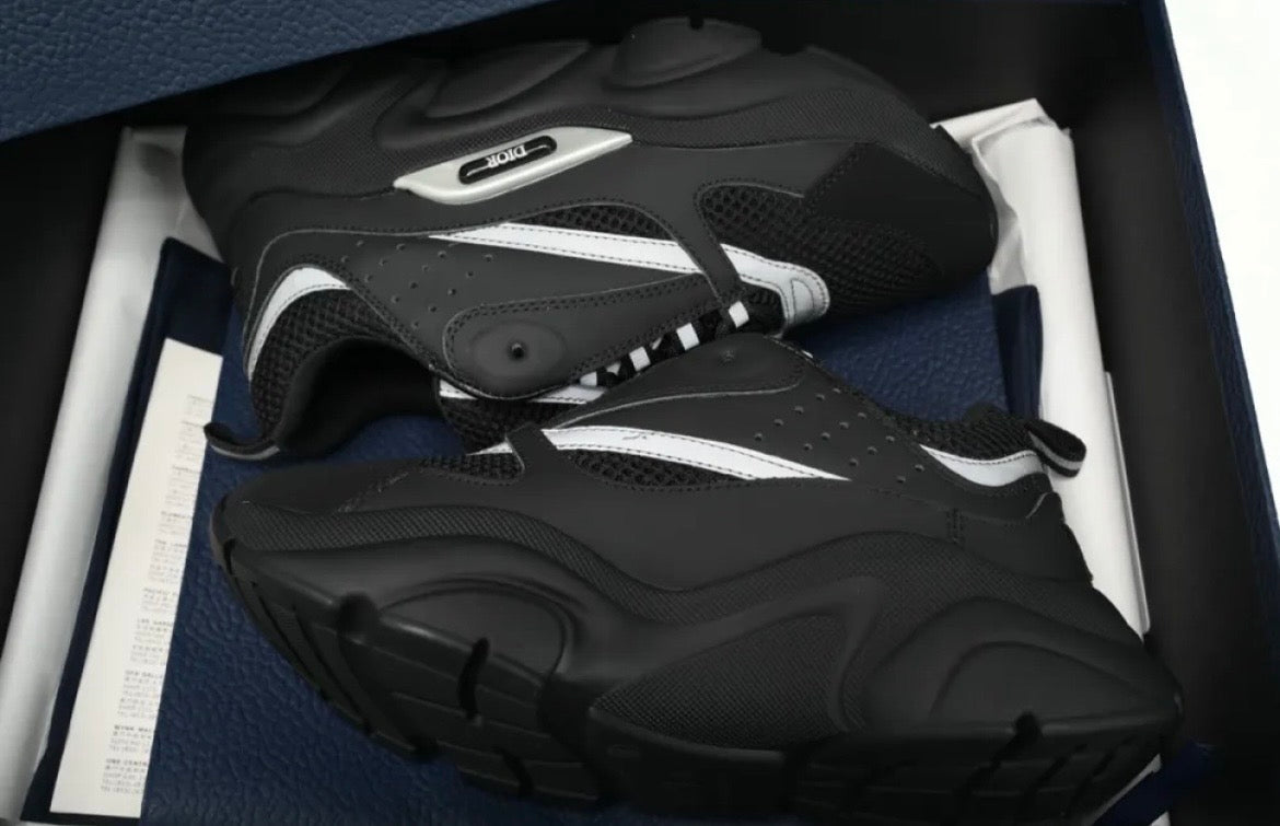 Dior B22 Reflective