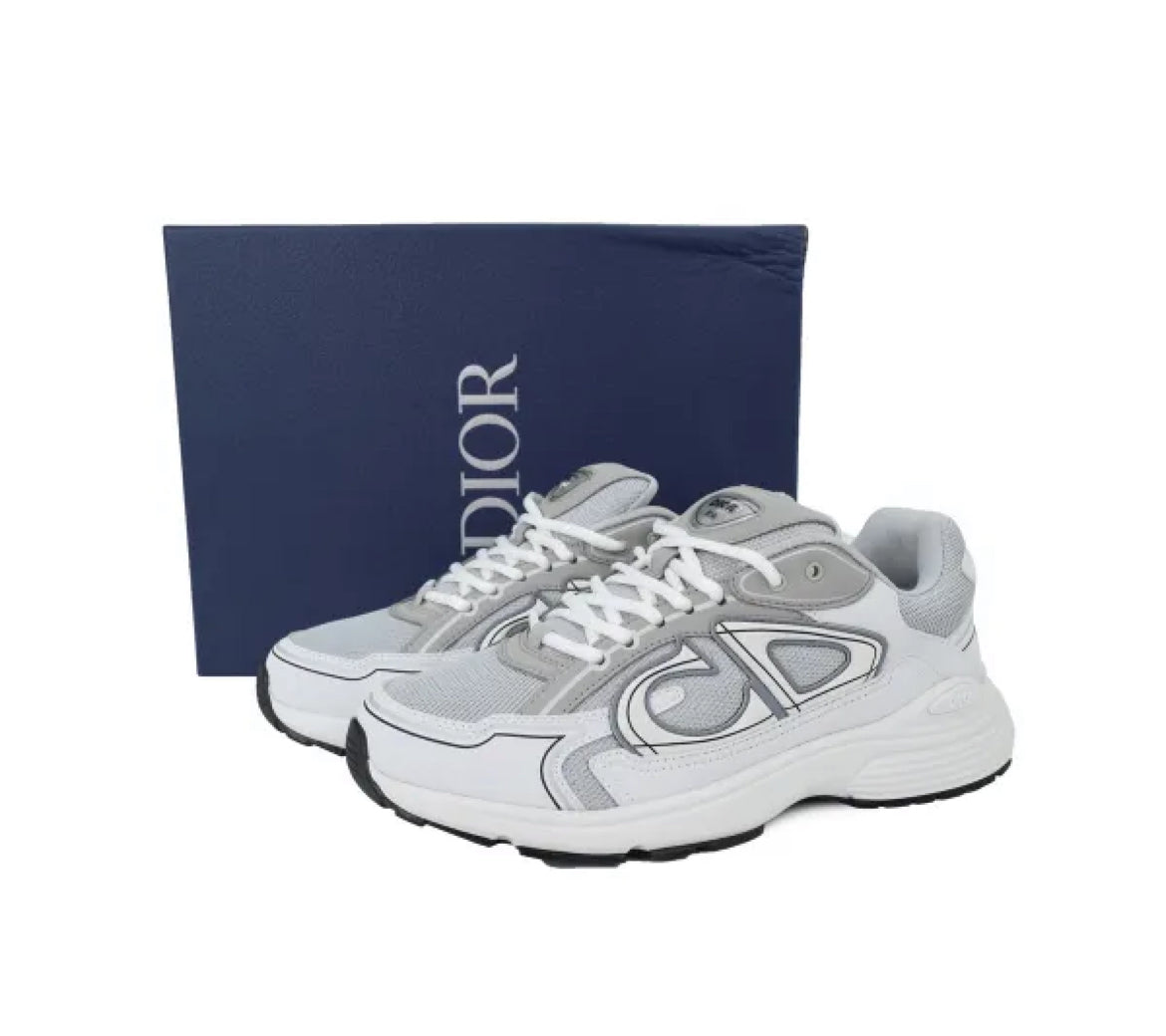 Dior B30 Countdown Sneaker Gray White